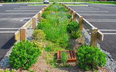 Optimizing Stormwater Controls for Nutrient Removal