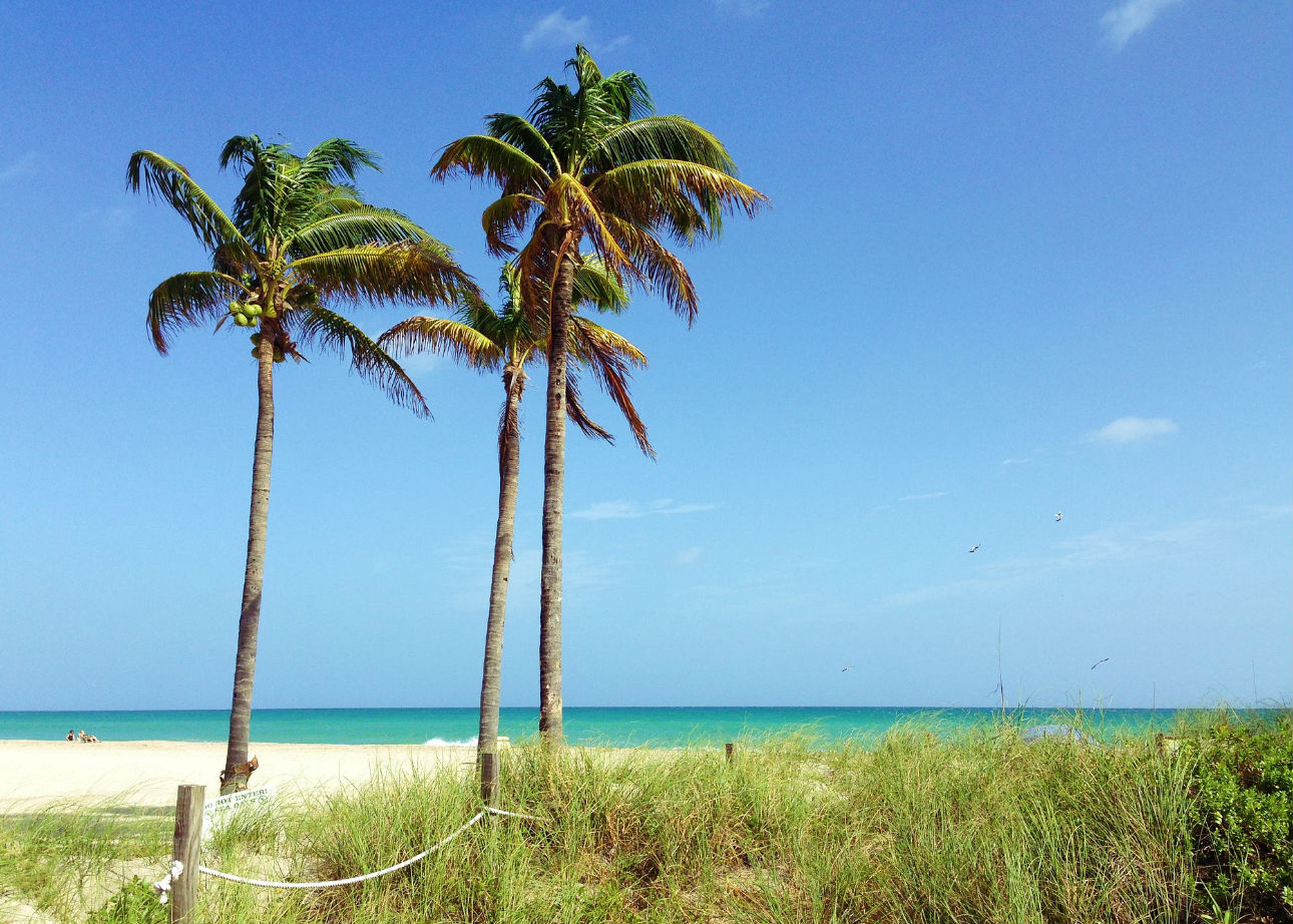 Florida League of Cities (FLC) 2024 Annual Conference